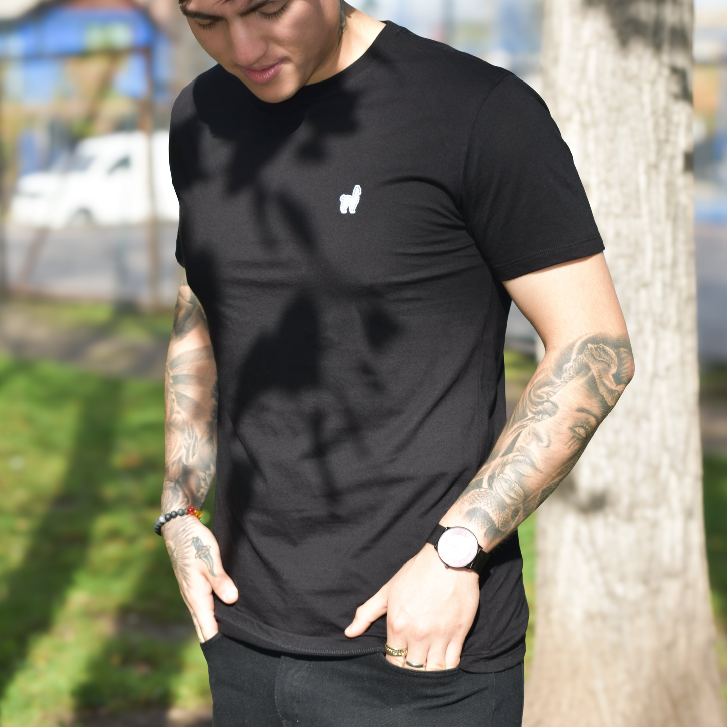 Polera Regular Fit Pima Negra